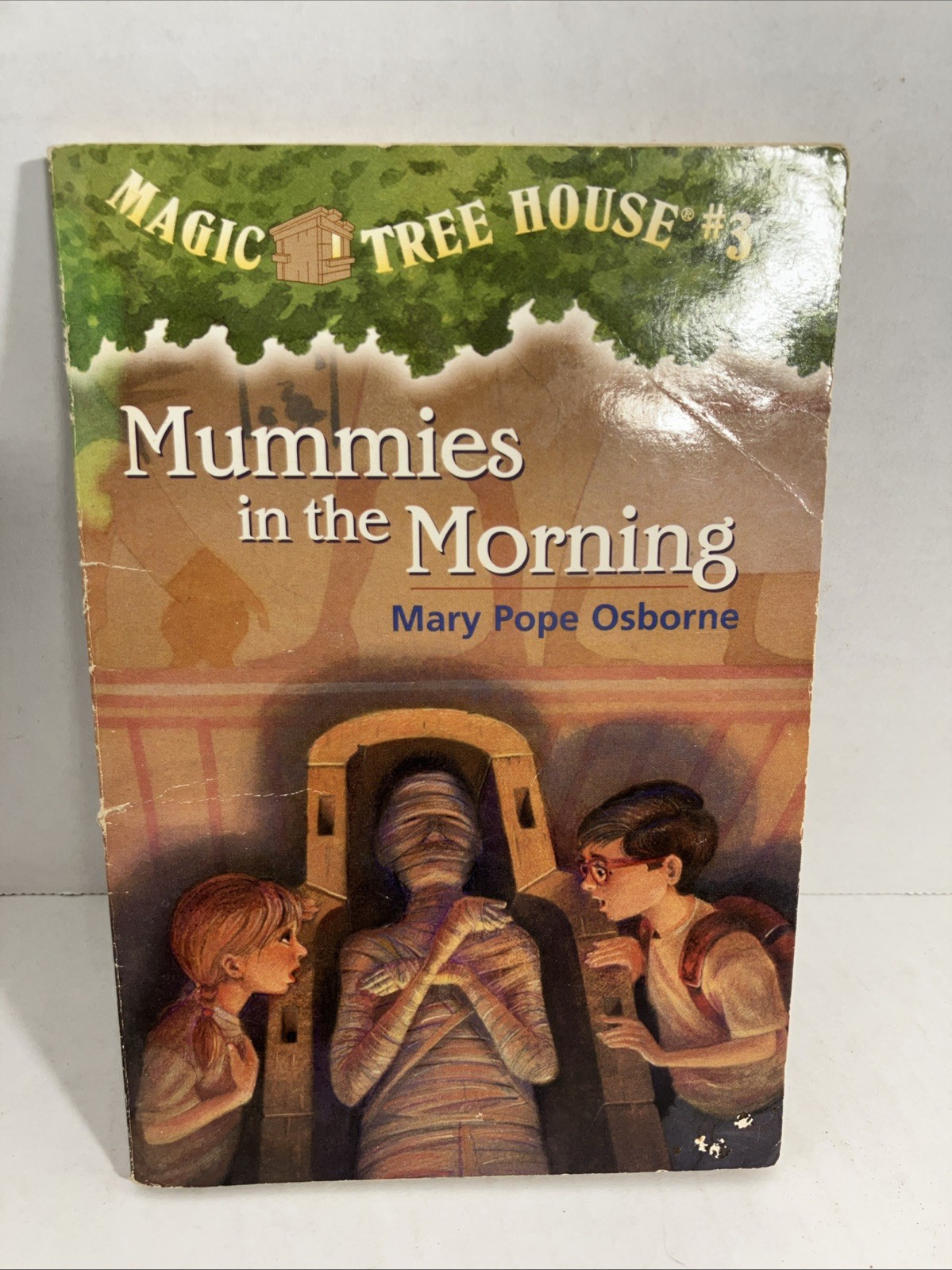 Mummies in the Morning by Mary Pope Osborne (1993, Library Binding)