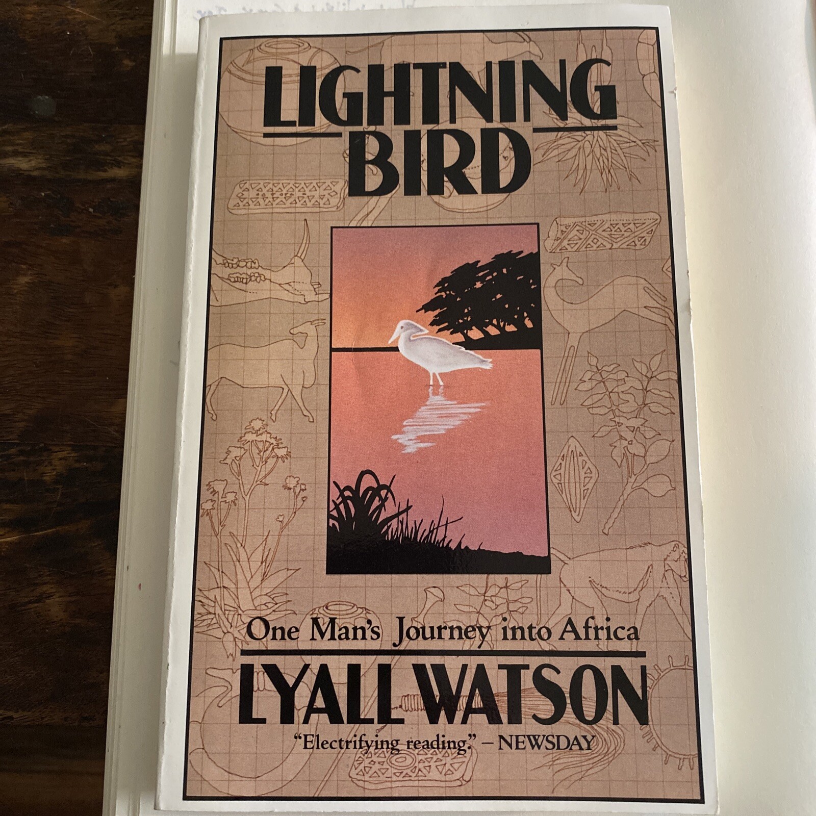 Lightning Bird By Lyall Watson 1983 First Touchstone Edition