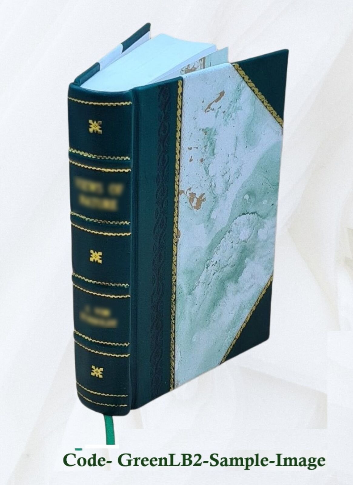 Pinnacles Of Personality / By Henry Clay Risner ; With An Introd [Leather Bound]
