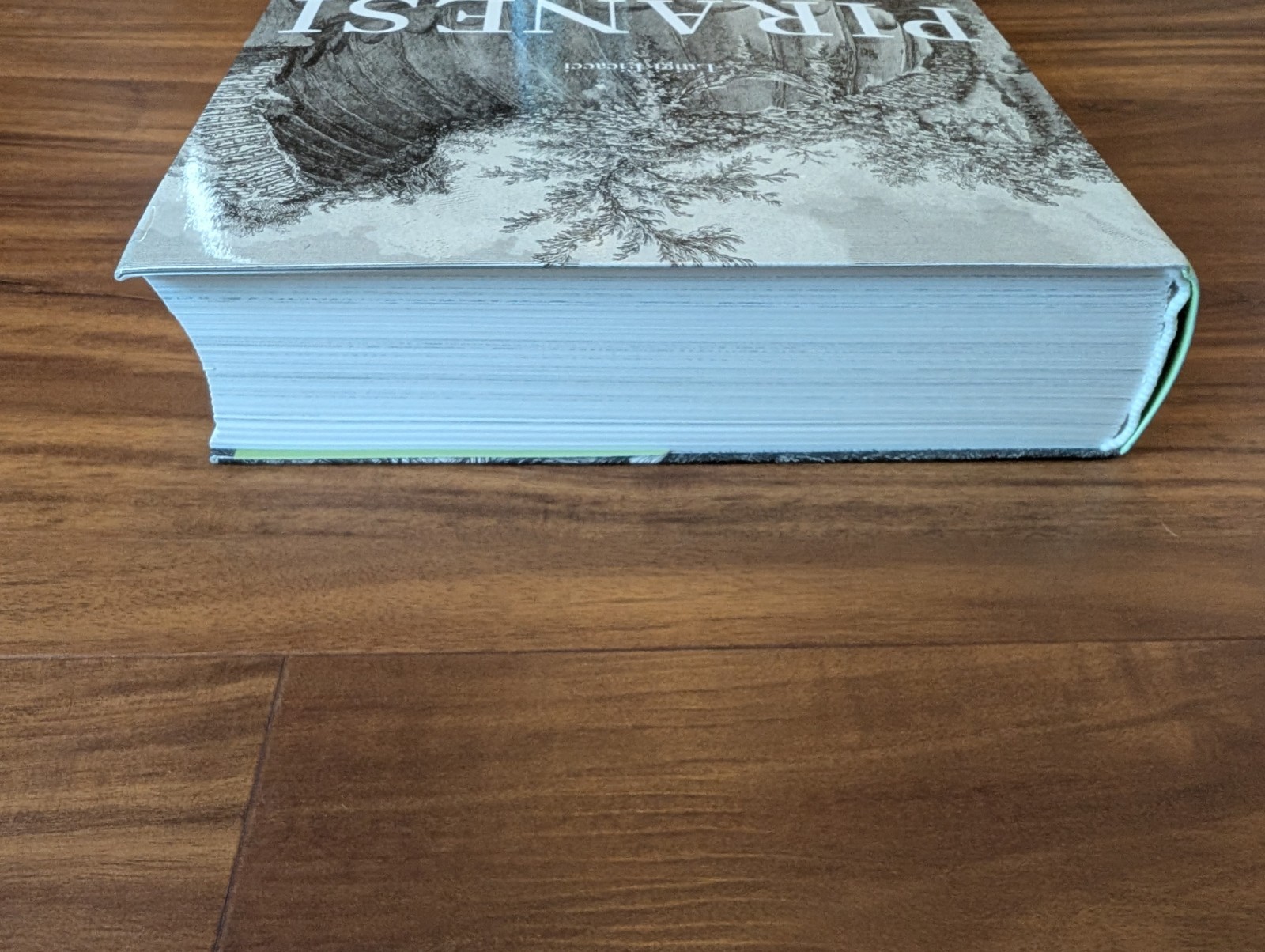 Giovanni Batista Piranesi : The Complete Etchings by Luigi Ficacci