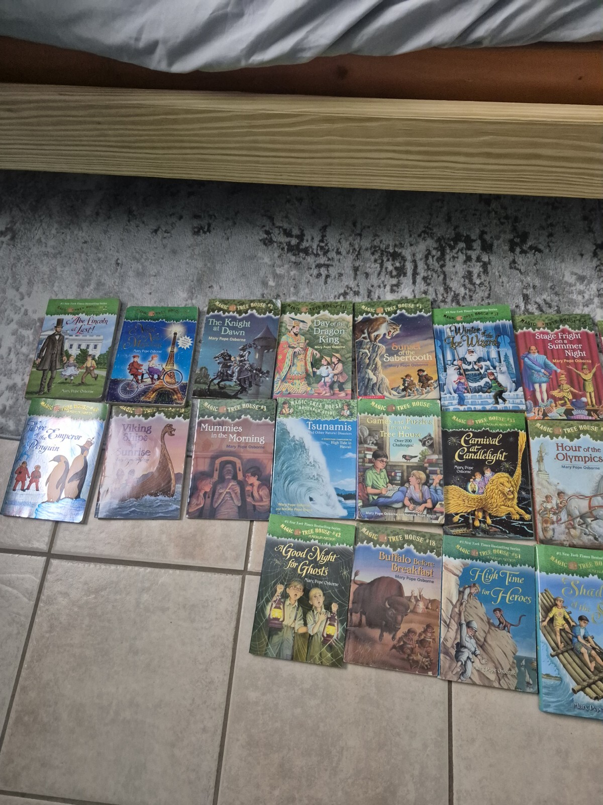 Magic Treehouse Books/set