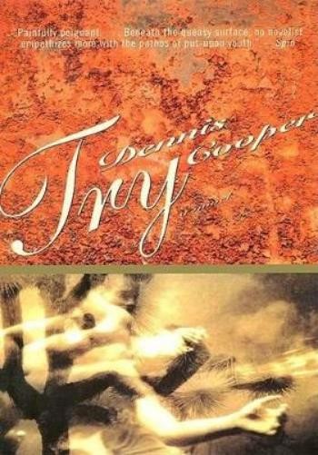 Dennis. Cooper Try (Paperback)