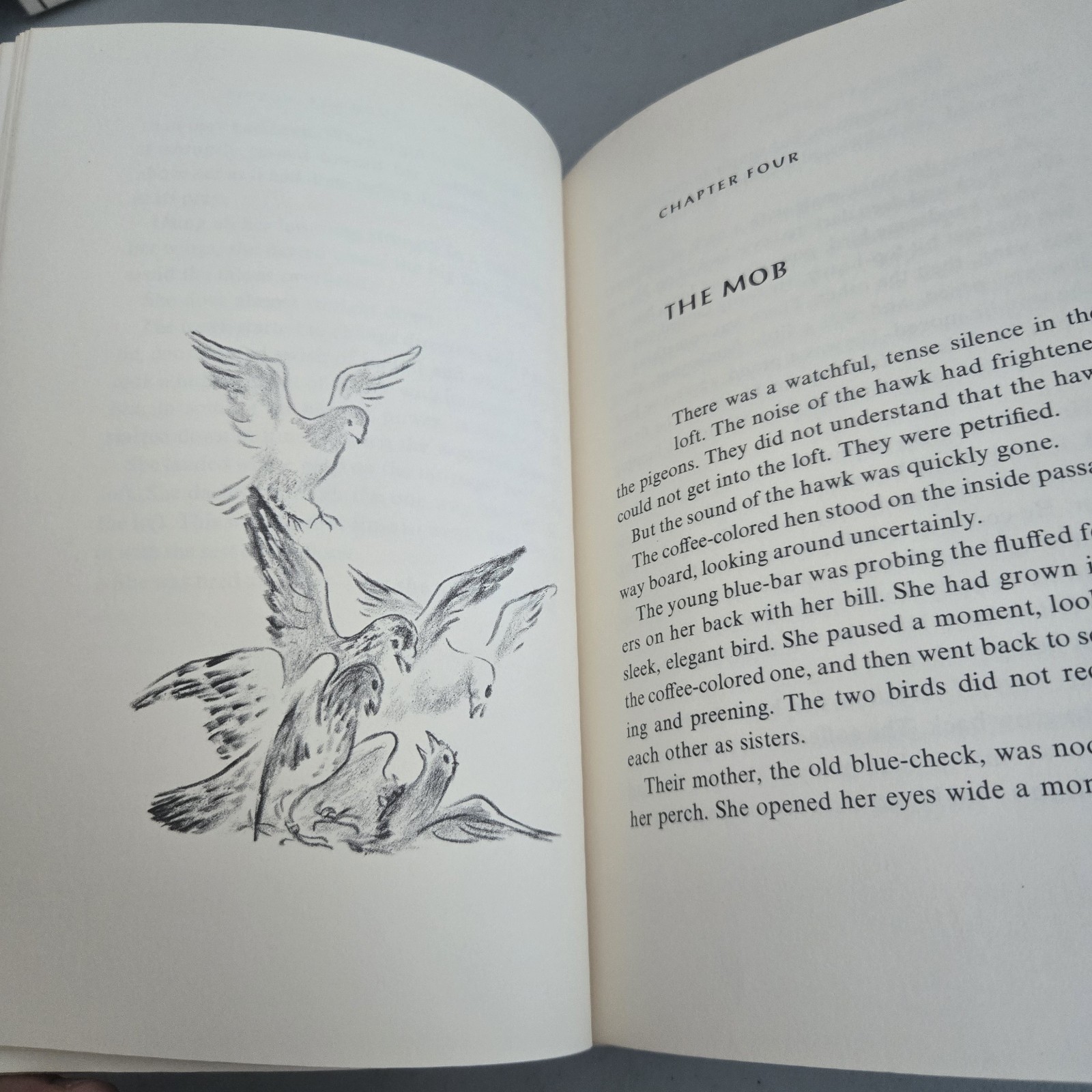 Pigeon, Fly Home! Thomas Liggett Illus. Marc Simont HC Rare Disney Movie Exlib