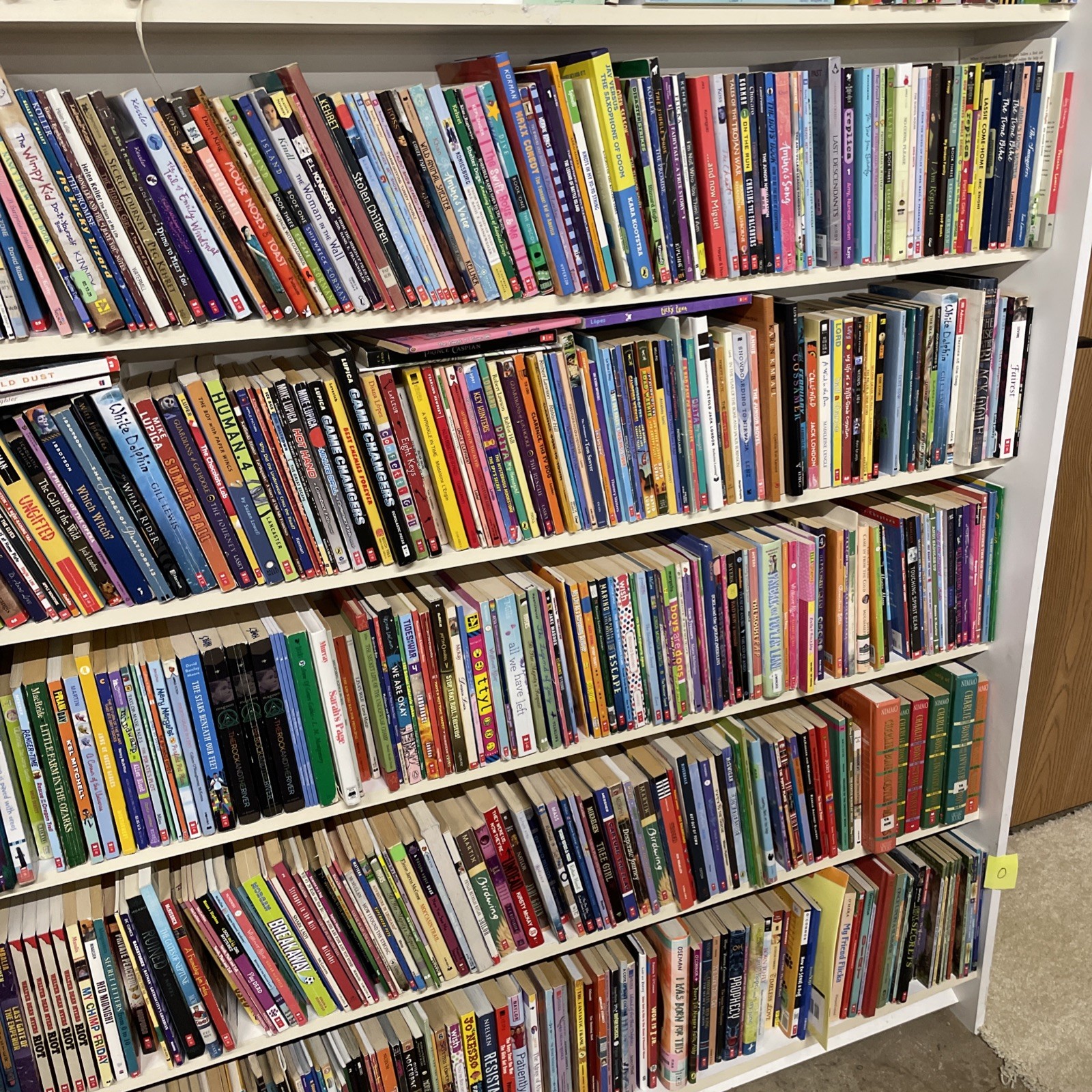 100 Children’s Chapter Books Instant Library Random Mix Age 6-12 Paperback