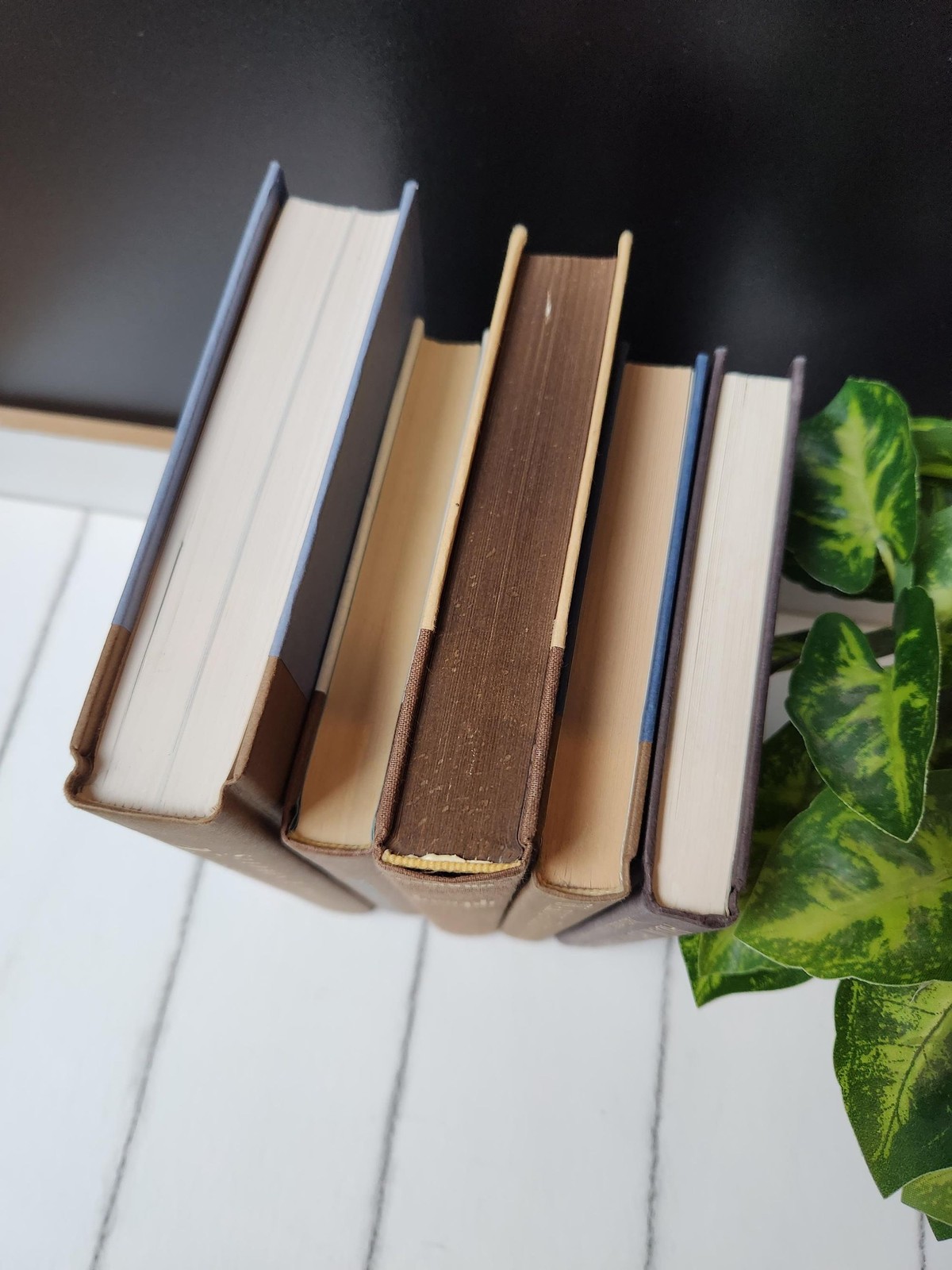 Brown Staging Books: Earthy Decor Objects, Real Hardbacks- Set of 5