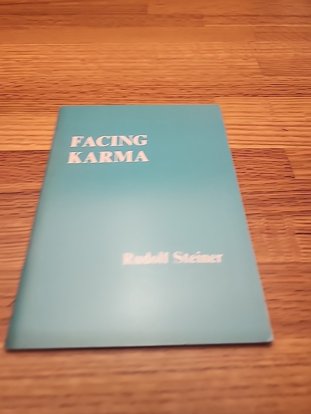 Rudolf Steiner 1975 Facing Karma Anthroposophic Press Lecture From 1912