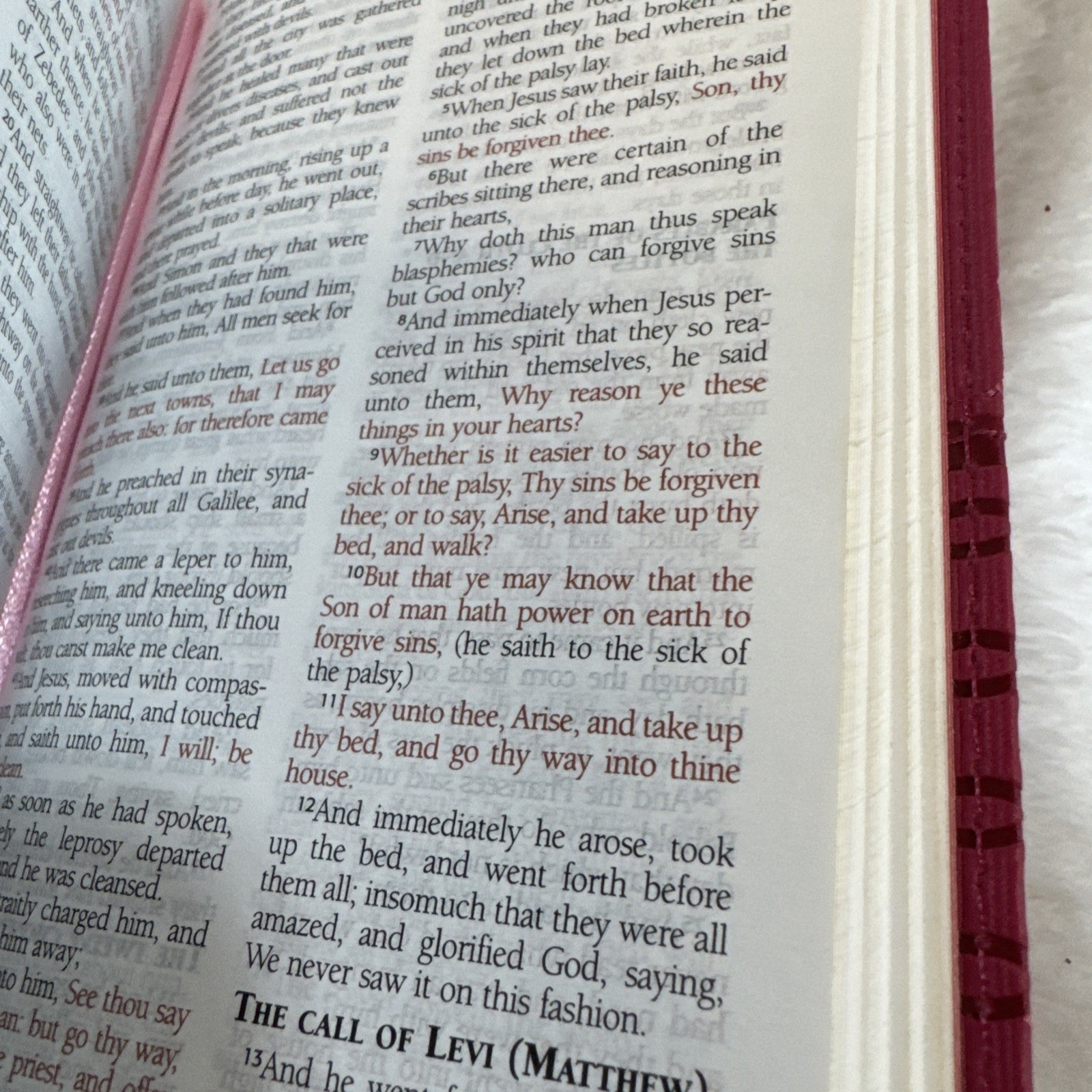 Barbour Holy Bible King James Version Pink Faux Leather KJV 9781616265229