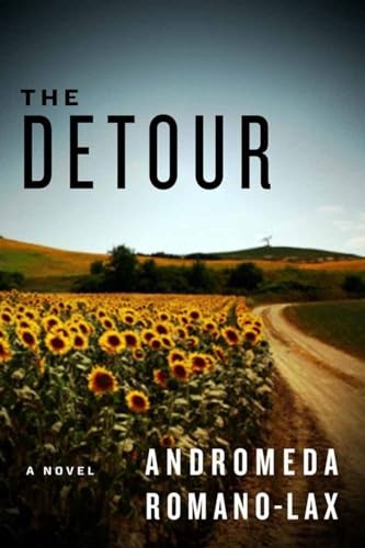 The Detour: A Novel – VERY GOOD