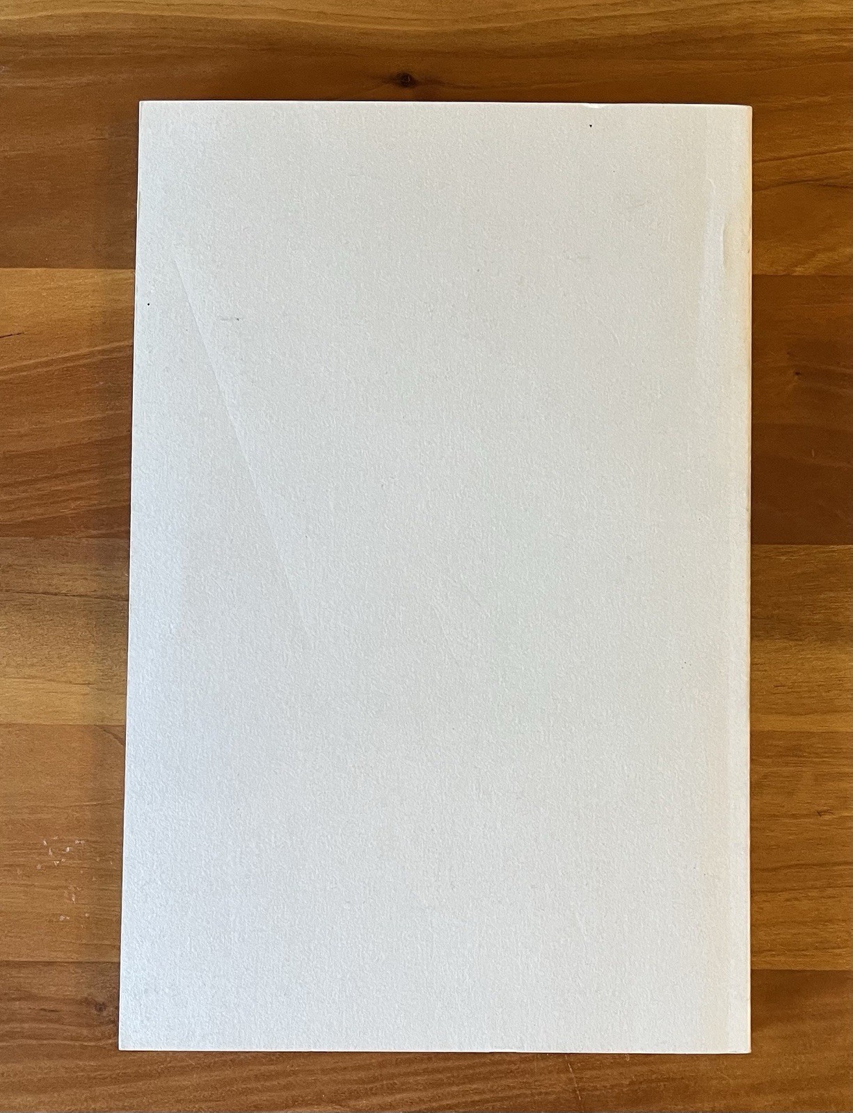 The Black Mask Boys ~ William F. Nolan ~ William Morrow ~ Bound Galleys ~ Rare!