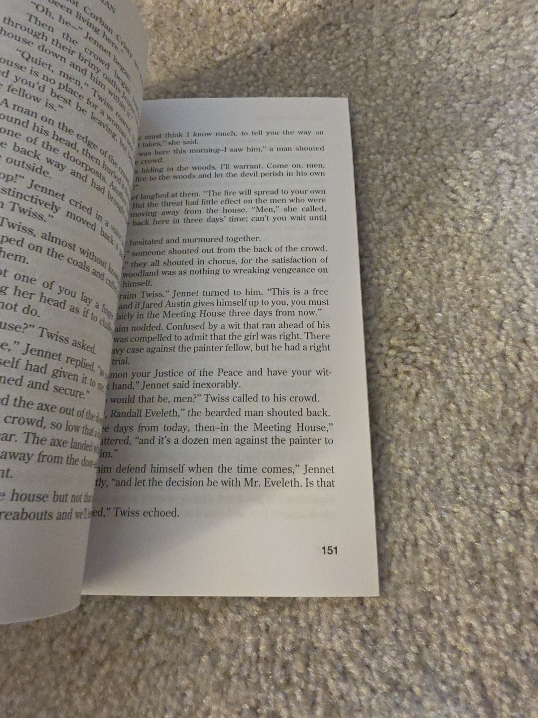 Elizabeth Yates The Journeyman Prequel to Hue & Cry Paperback YA Fiction