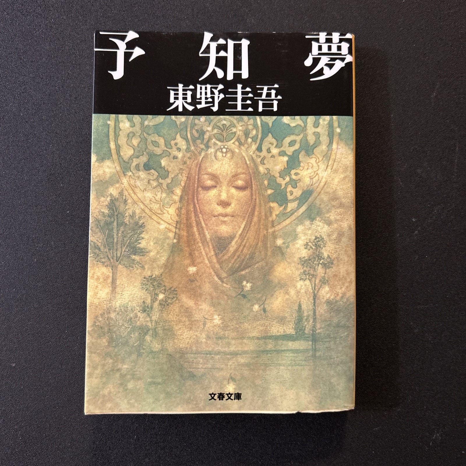 Precognitive Dreams Detective Galileo Series Bunshun Bunko Japanese Paperback