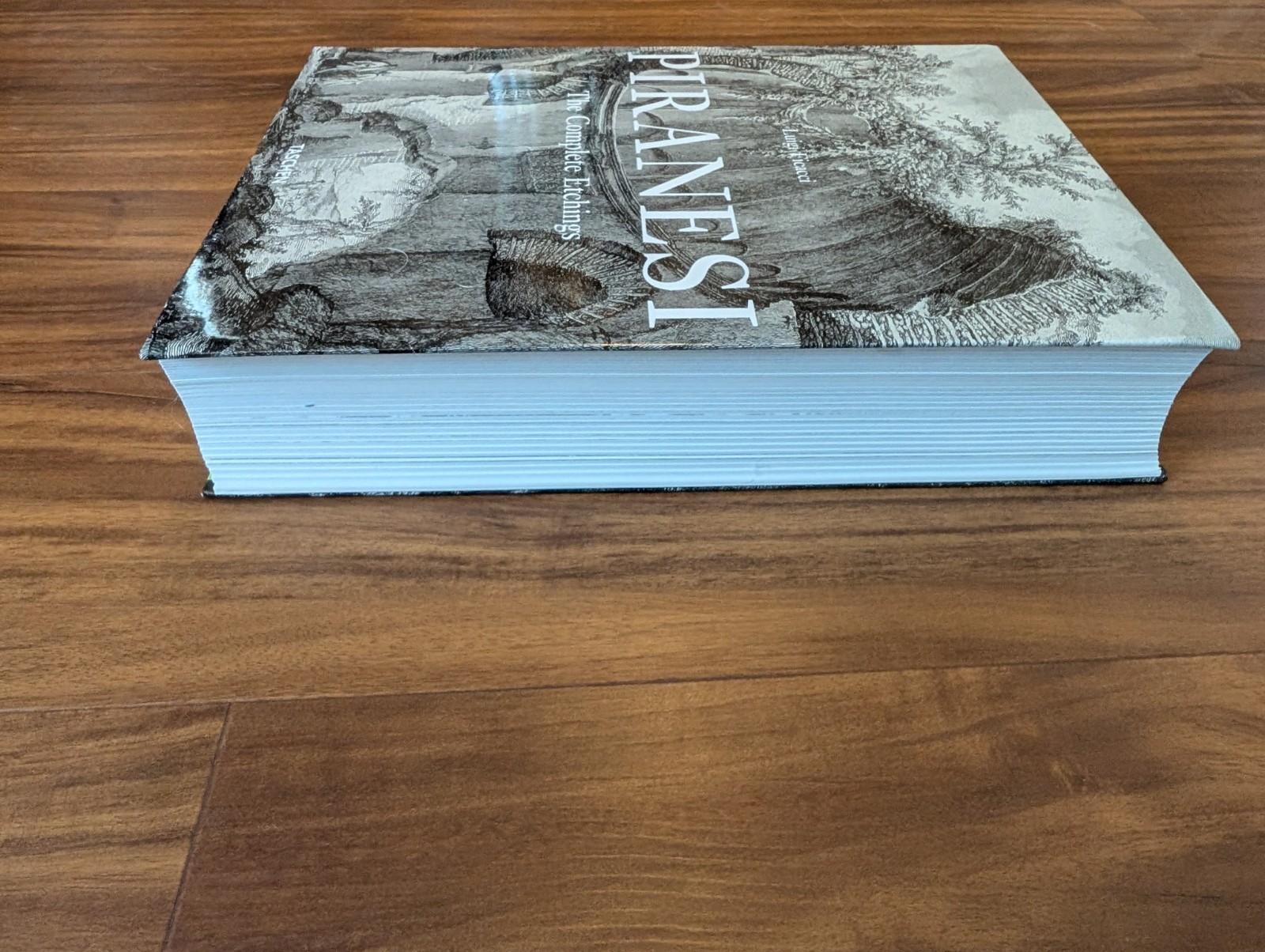 Giovanni Batista Piranesi : The Complete Etchings by Luigi Ficacci