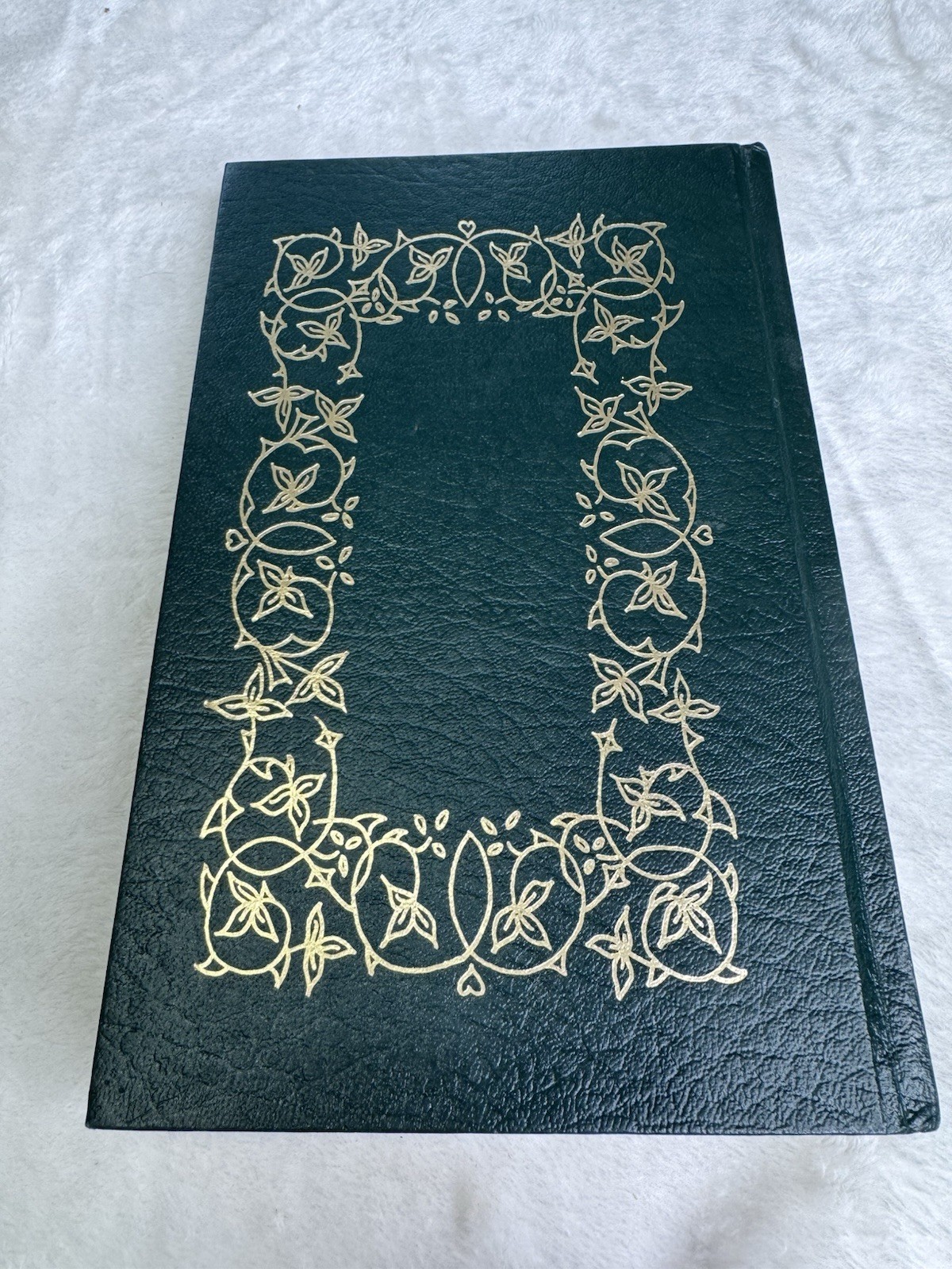 The Graika Family Heritage Book Leather Hardcover Beatrice Bayley 1984