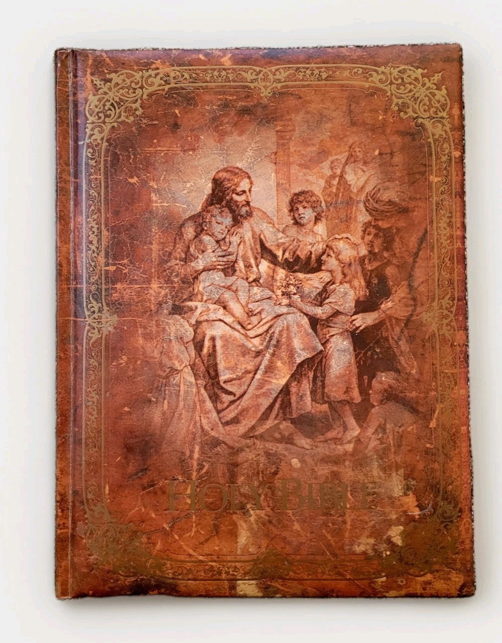 VTG Deluxe Holy Bible Family Traditions KJV W/ Worlds Visual Reference