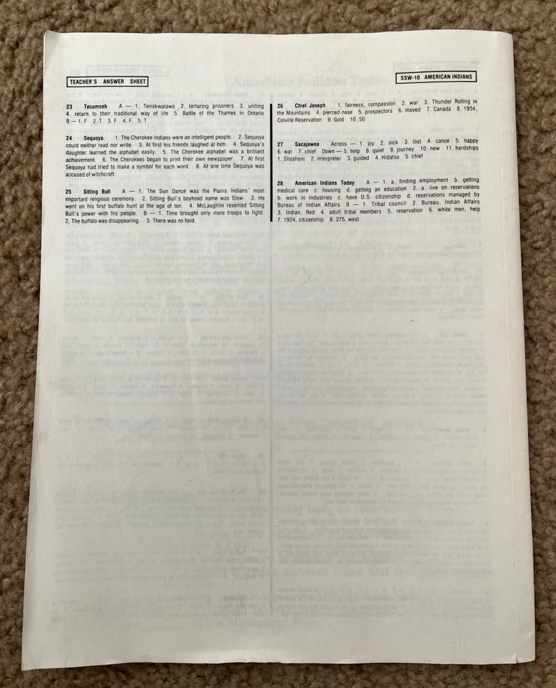 Basic Skills American Indians Workbook By Bearl Brooks SSW-10 ESP 1982