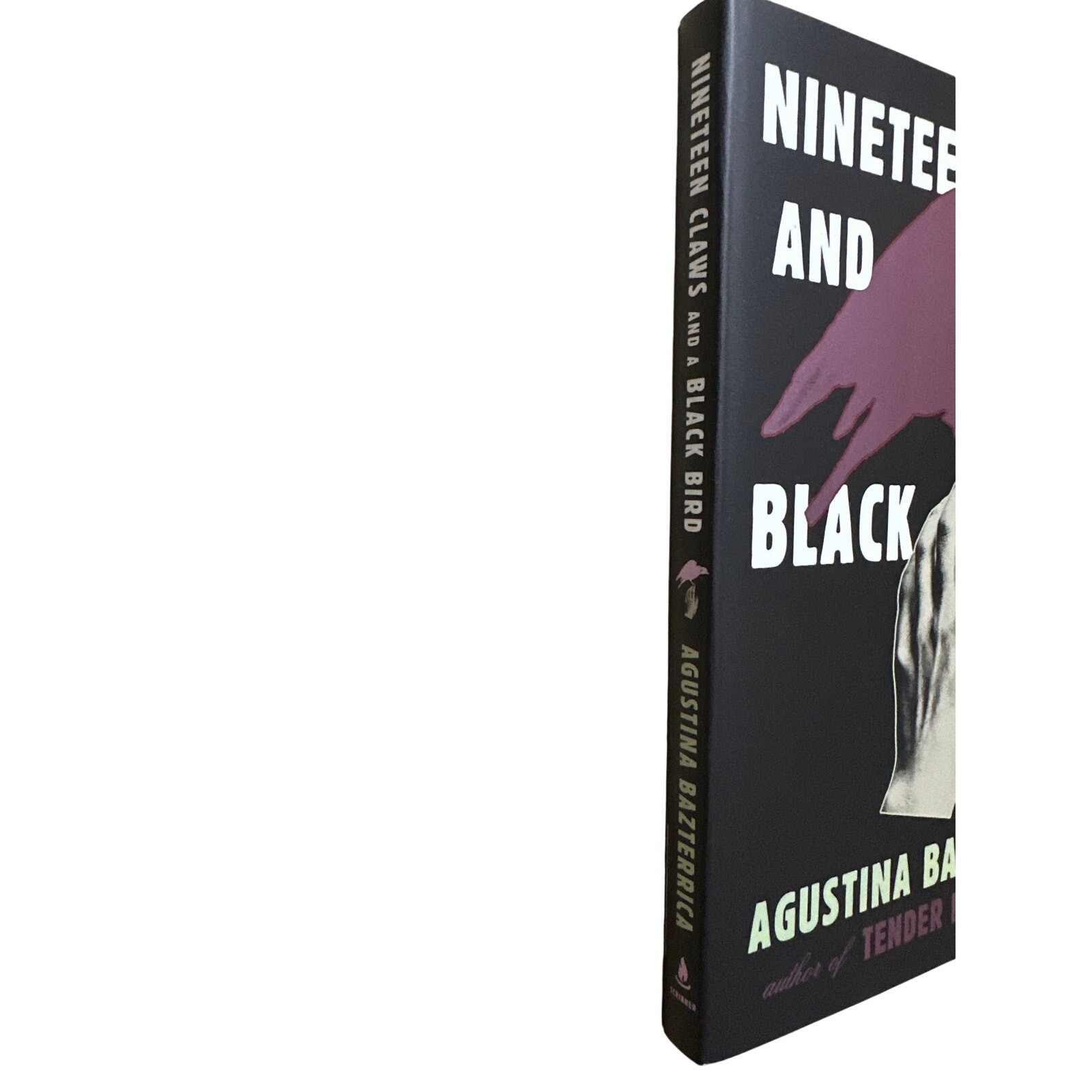 Nineteen Claws And A Blackbird Stories by Agustina Bazterrica Paperback Book