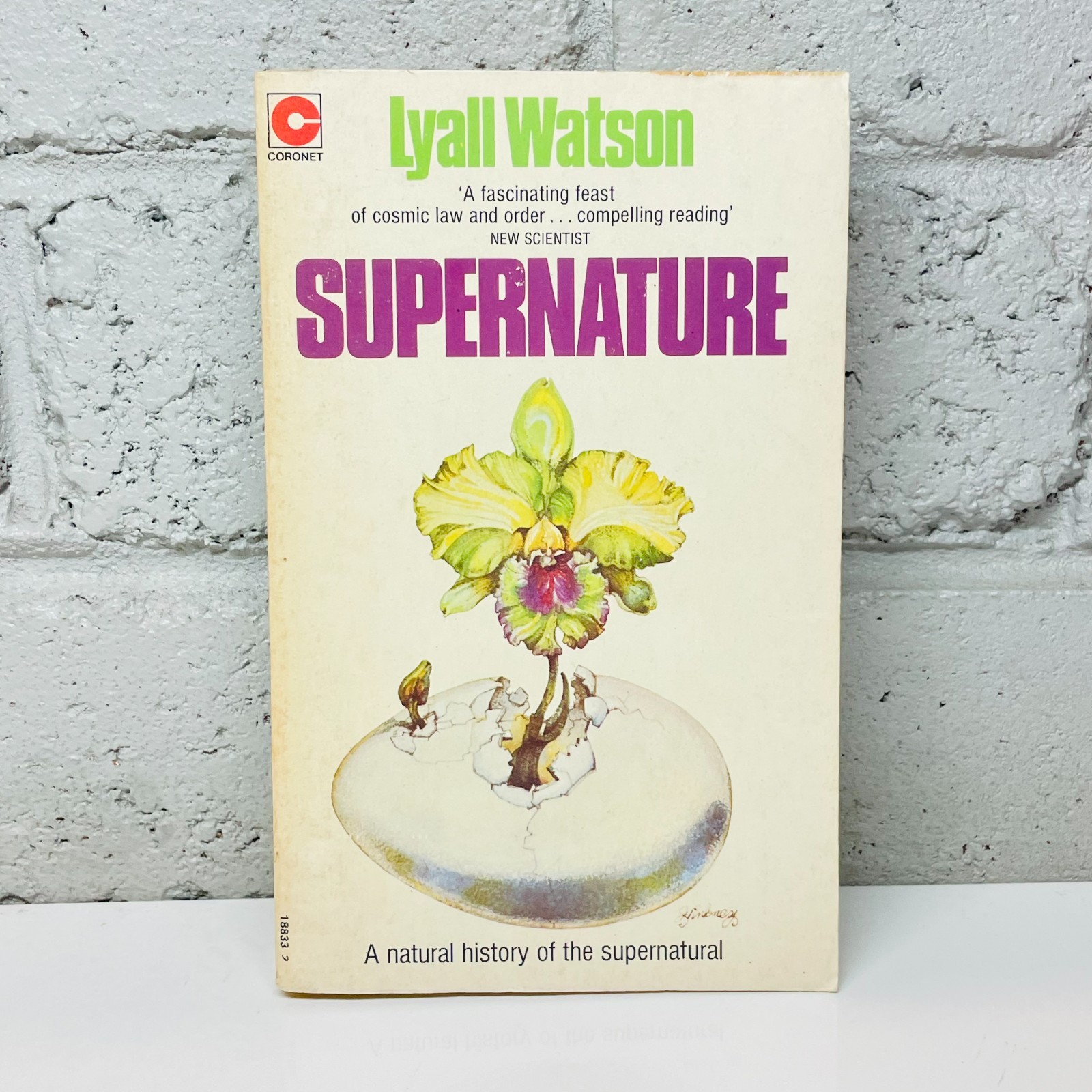 Supernature by Lyall Watson (Paperback Book) Nature, Philosophy