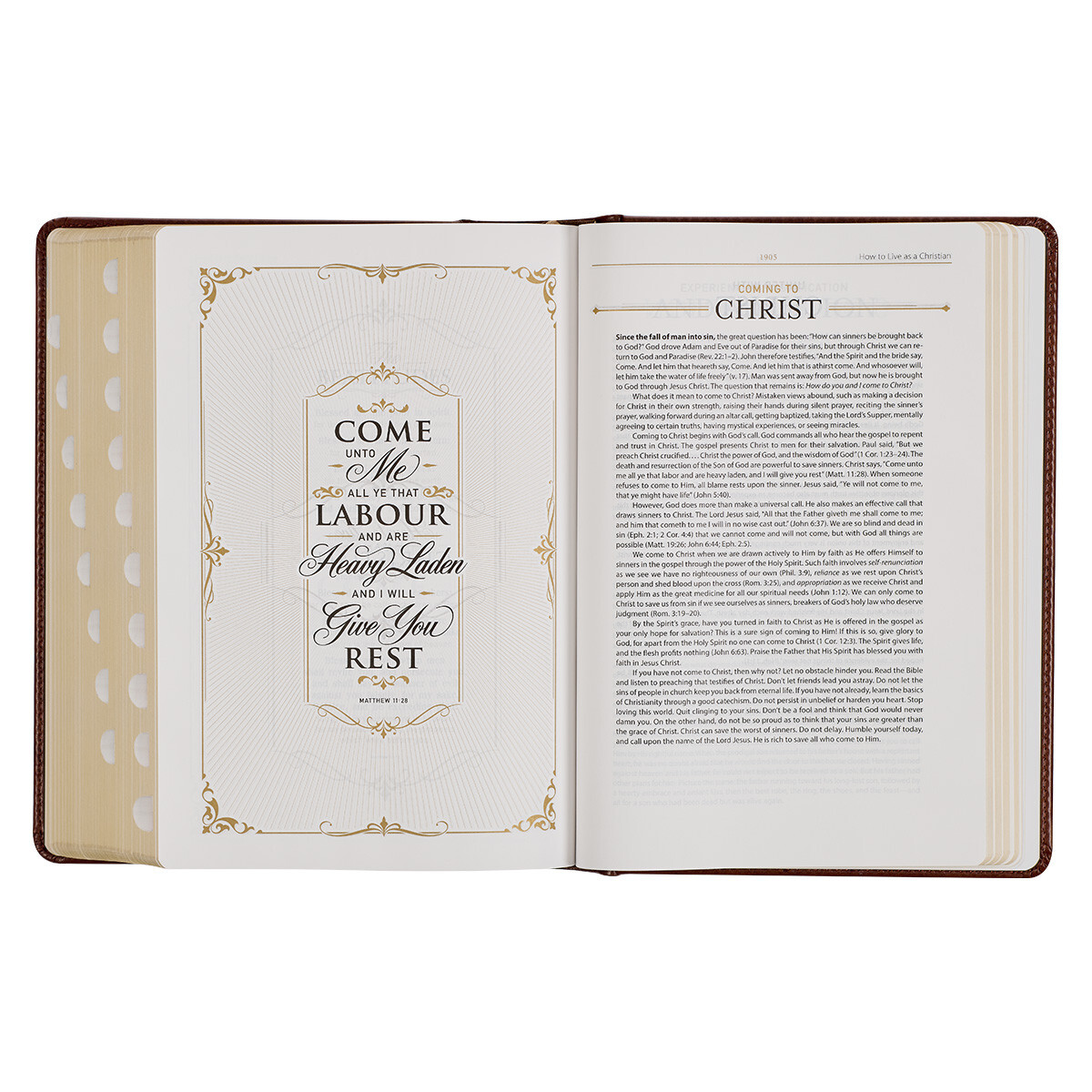 The Holy Bible King James Version Study Bible Indexed Toffee/Burgandy Hardcover