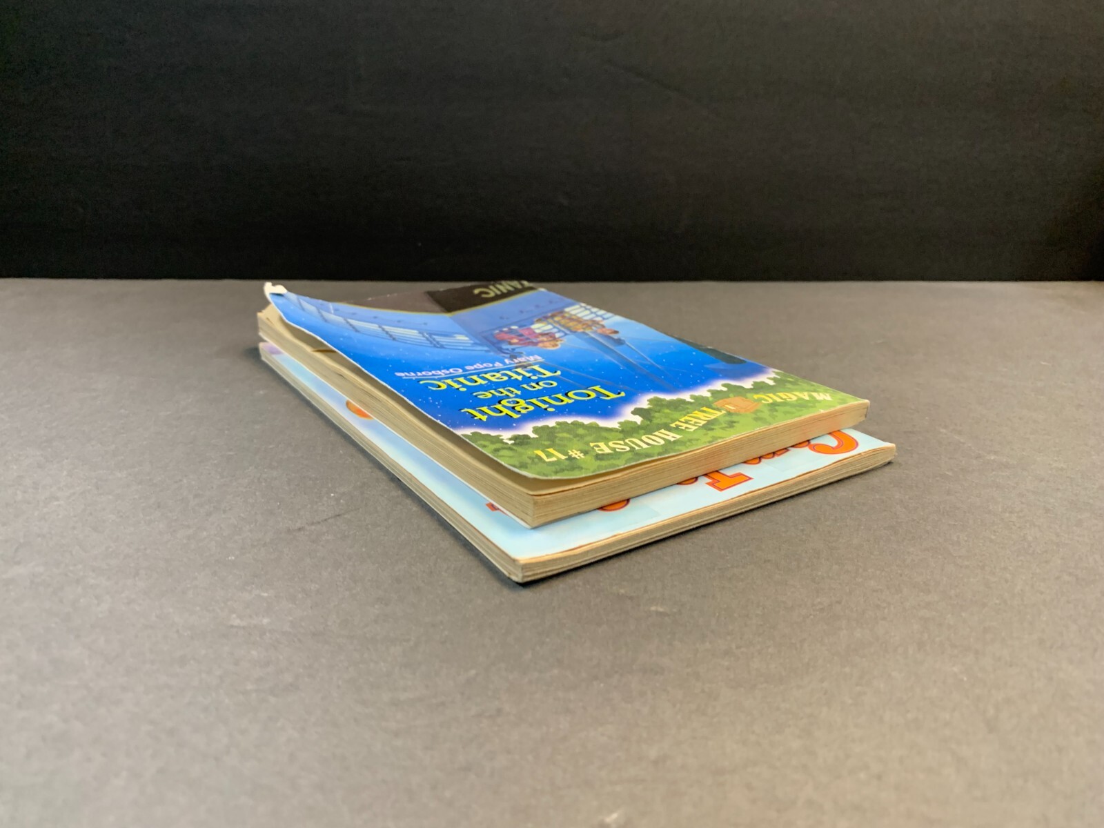 Cam Jansen Wedding Cake Mystery & Magic Tree House #17 Tonight on the Titanic