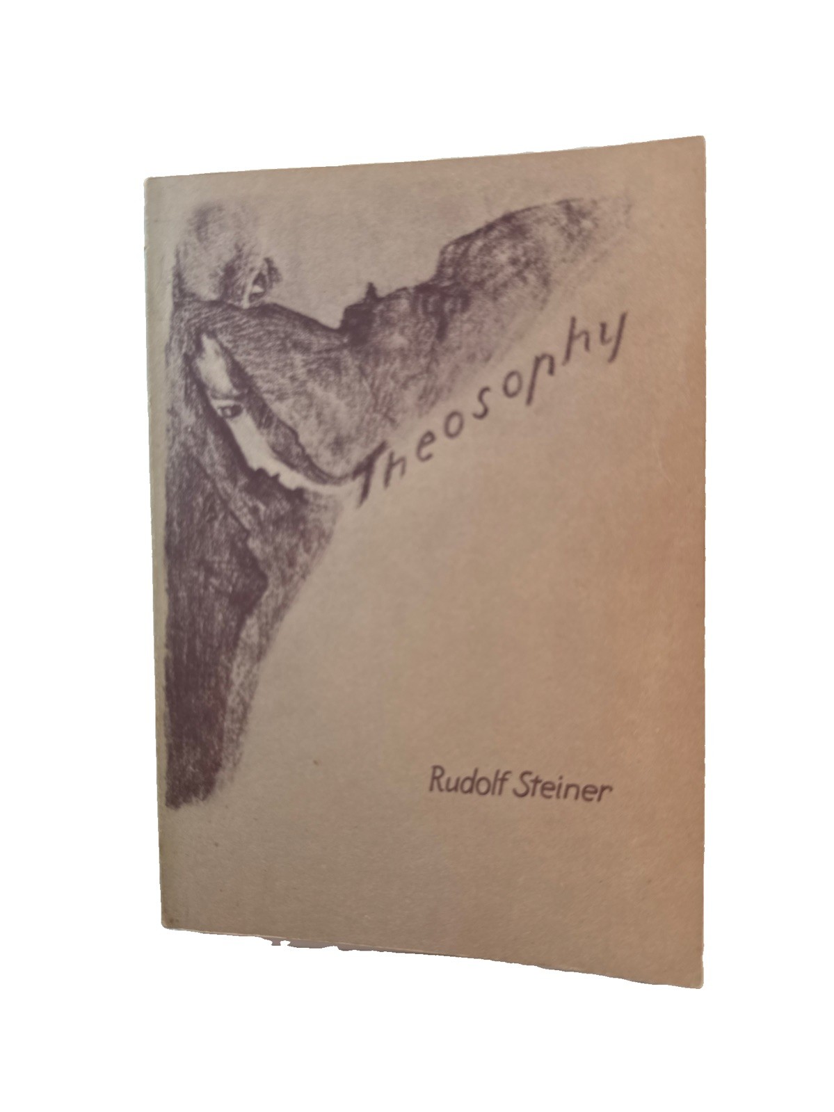 Theosophy Rudolf Steiner Vintage Paperback Anthroposophic Press Occult