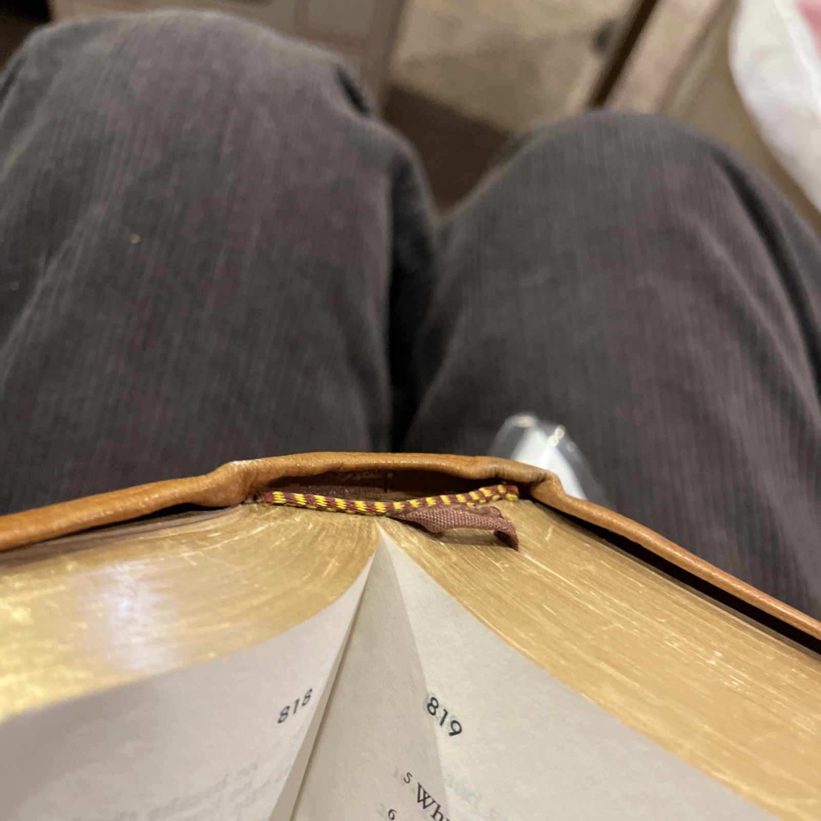 Harper Study Bible, RSV Tan Genuine Top Grain Leather