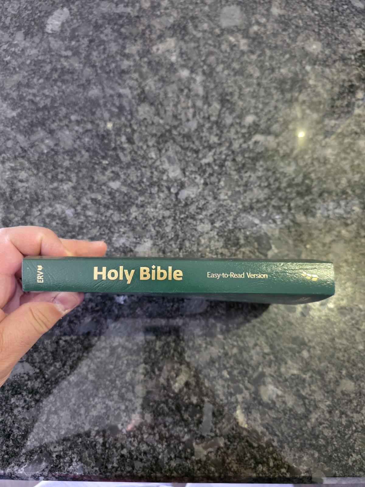 NRSV Economy Bible (Bible Nrsv) by Hendrickson (11-Sep-2006) Paperback