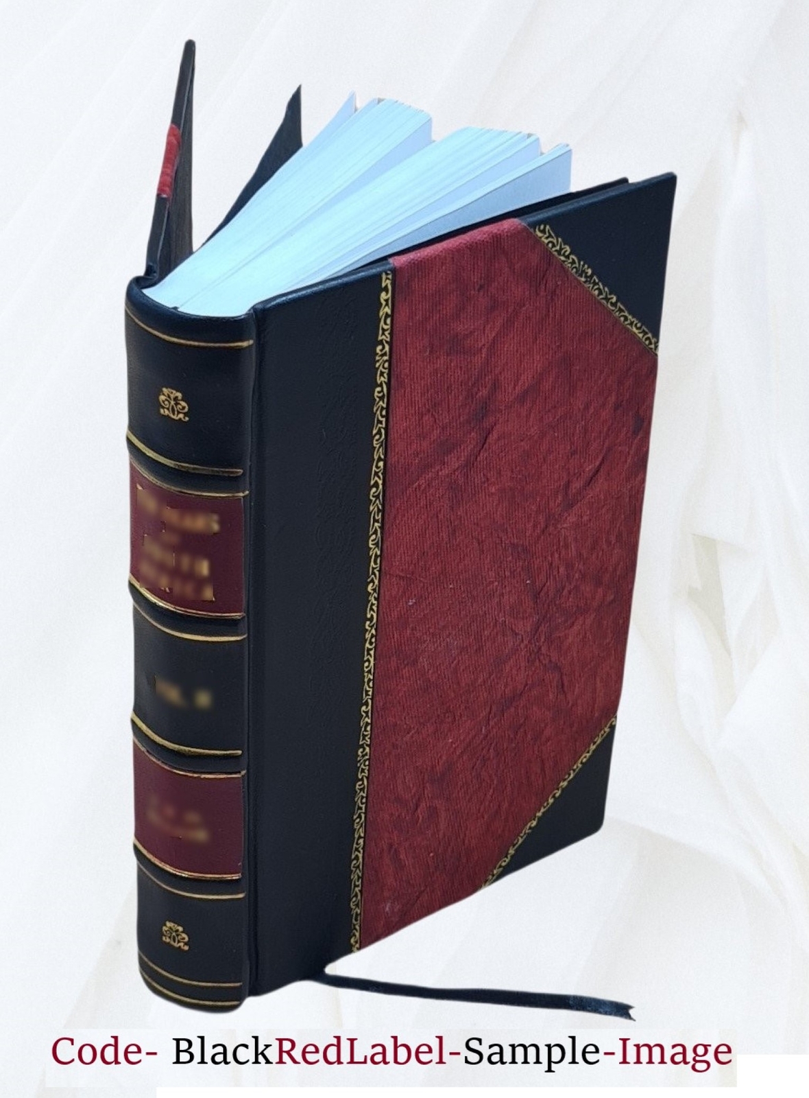 Twenty-Three Years Under A Sky-Light Or Life And Experiences Of [Leather Bound]