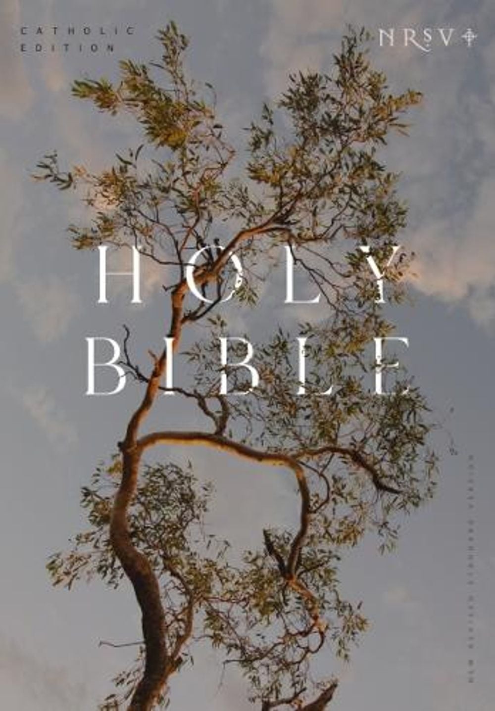 NRSV Catholic Edition Bible, Eucalyptus Paperback (Global Cover Series): Holy Bi