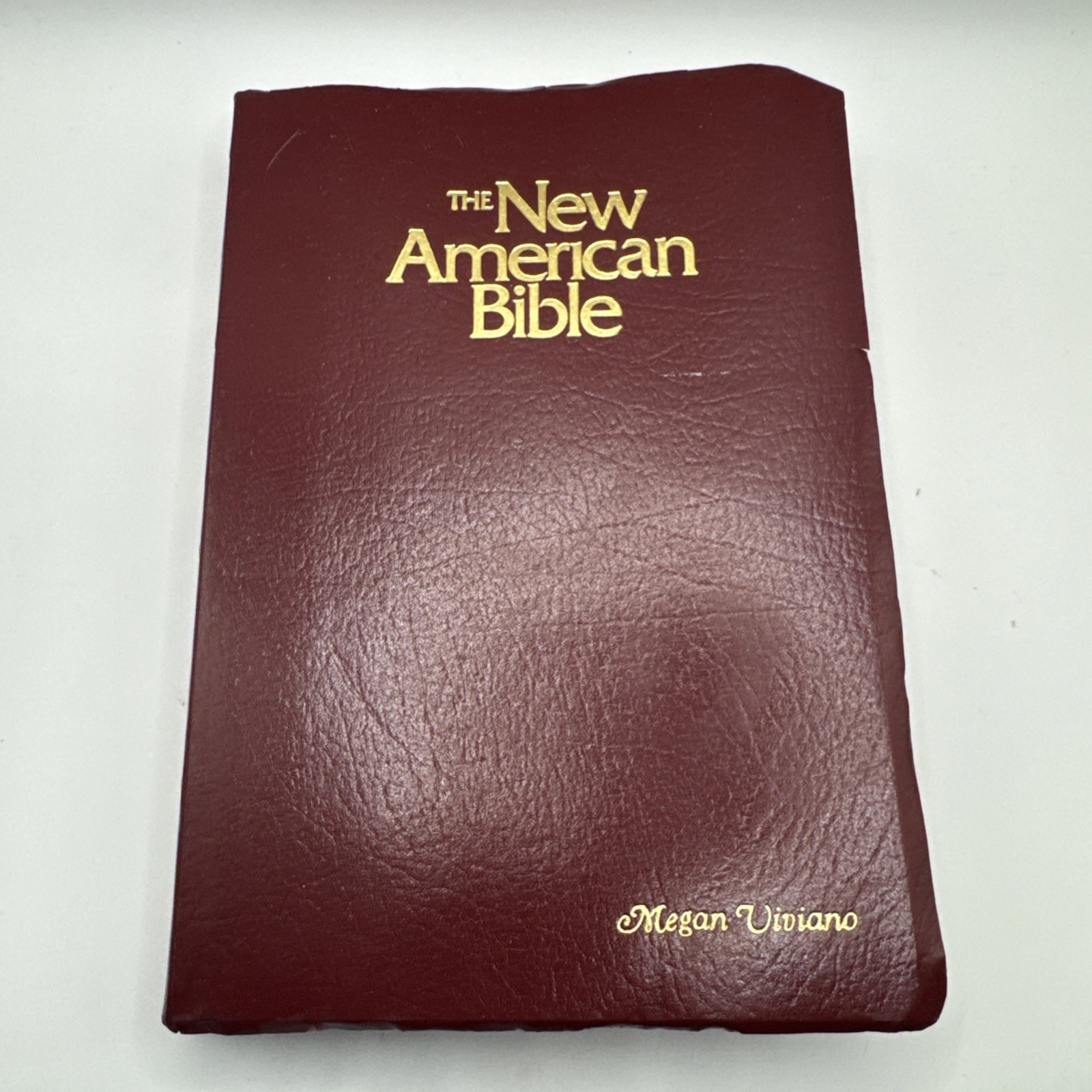 New American Bible Catholic World Press