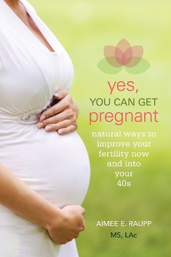 Aimee E. Raupp Yes, You Can Get Pregnant (Paperback)