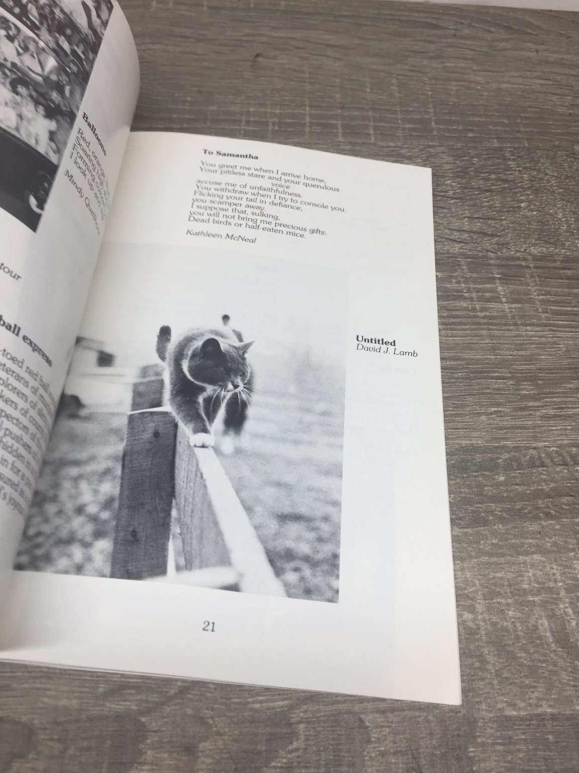Morpheus 1982 Heidelberg College First Edition First Printing Literary Magazine