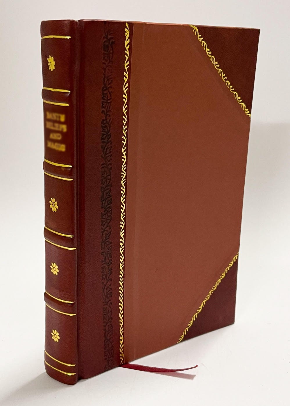 Fraulein Mina; Or, Life in a North American German Family. By M [Leather Bound]