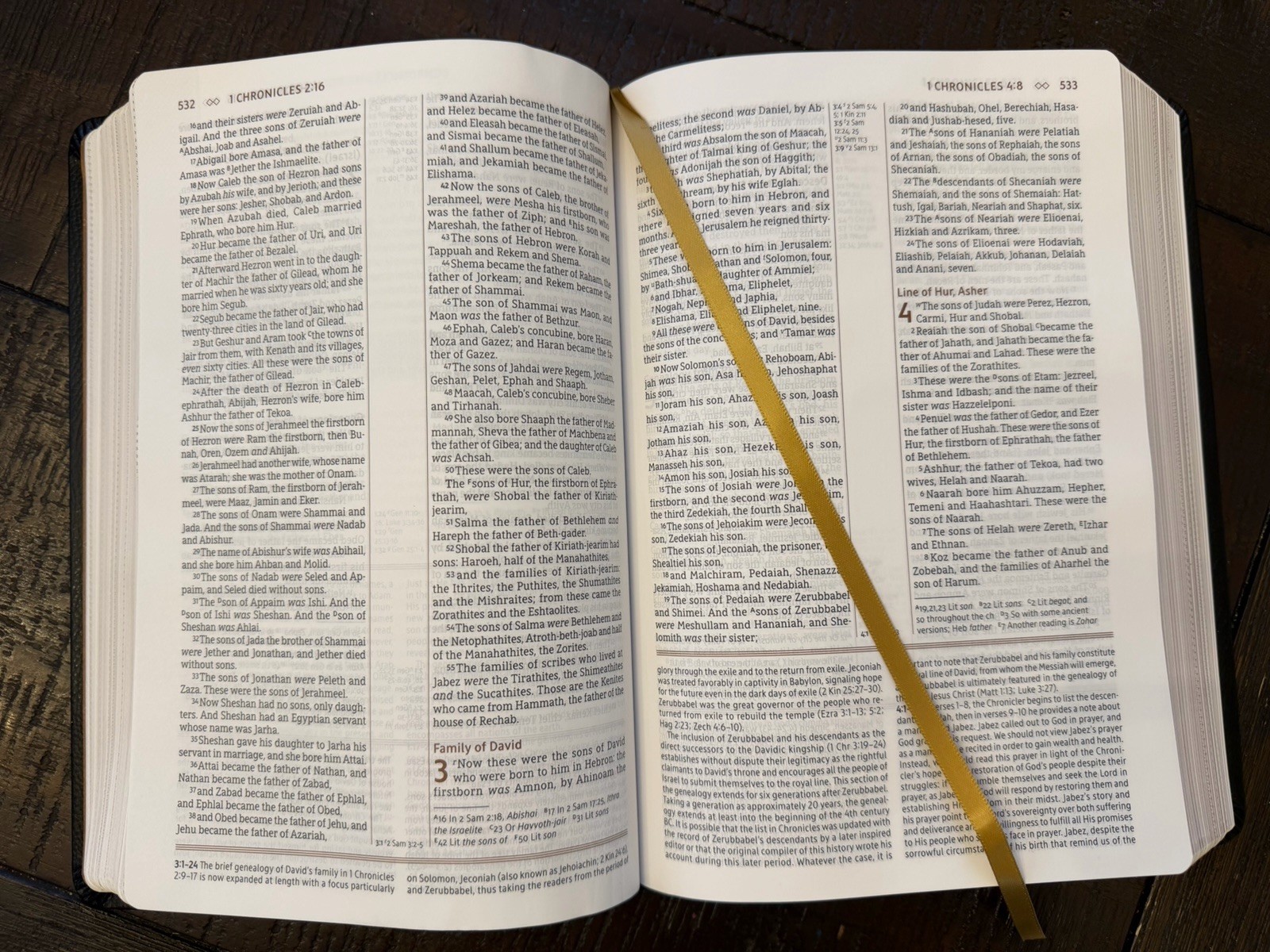 NASB, The Grace and Truth Study Bible, Red Letter, Black European Bonded Leather