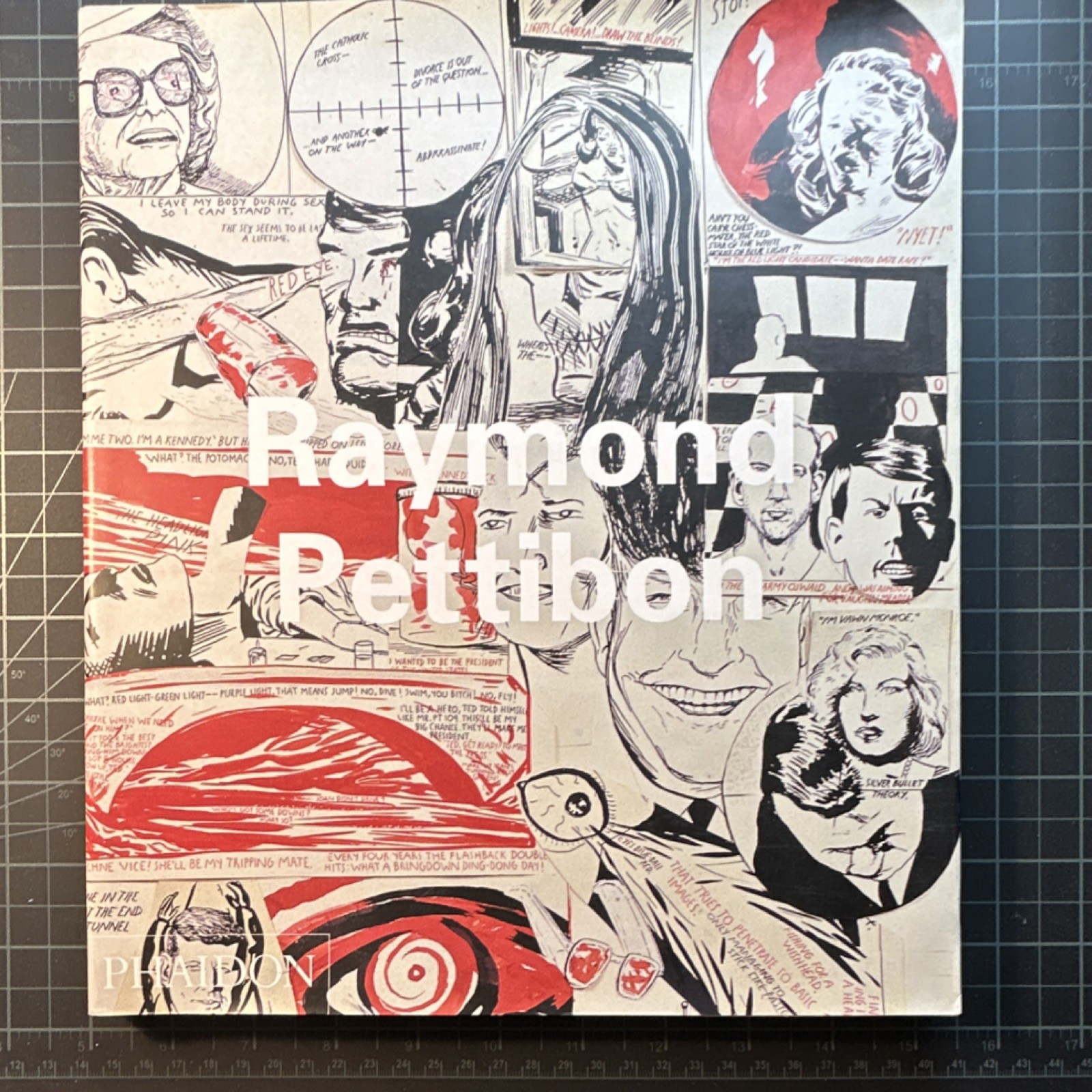 Raymond Pettibon Art Book Softcover Phaidon Press 2001 Illustrated First Edition