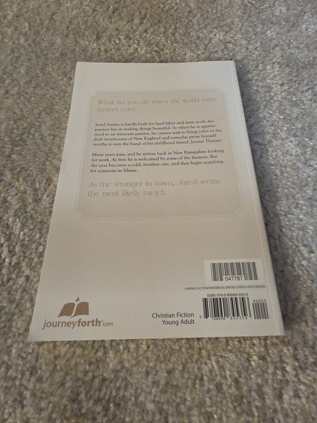 Elizabeth Yates The Journeyman Prequel to Hue & Cry Paperback YA Fiction