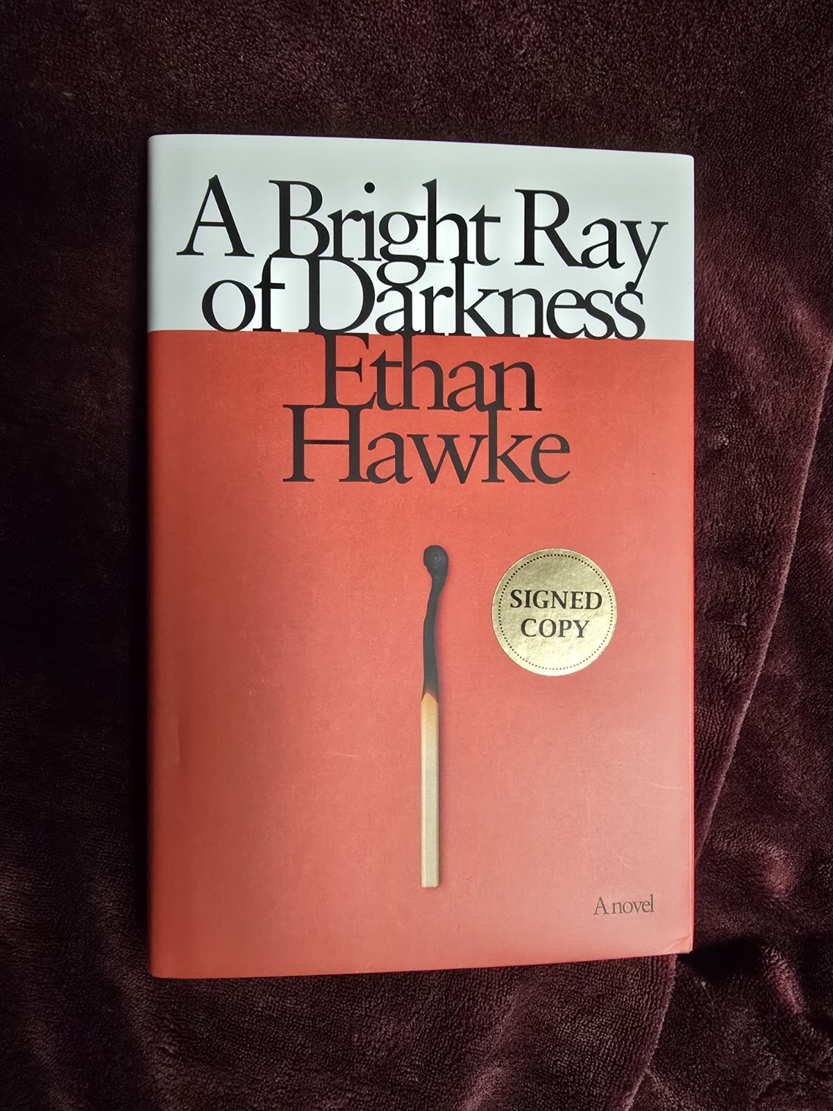 A Bright Ray Of Darkness SIGNED by ETHAN HAWKE First Edition Hardcover