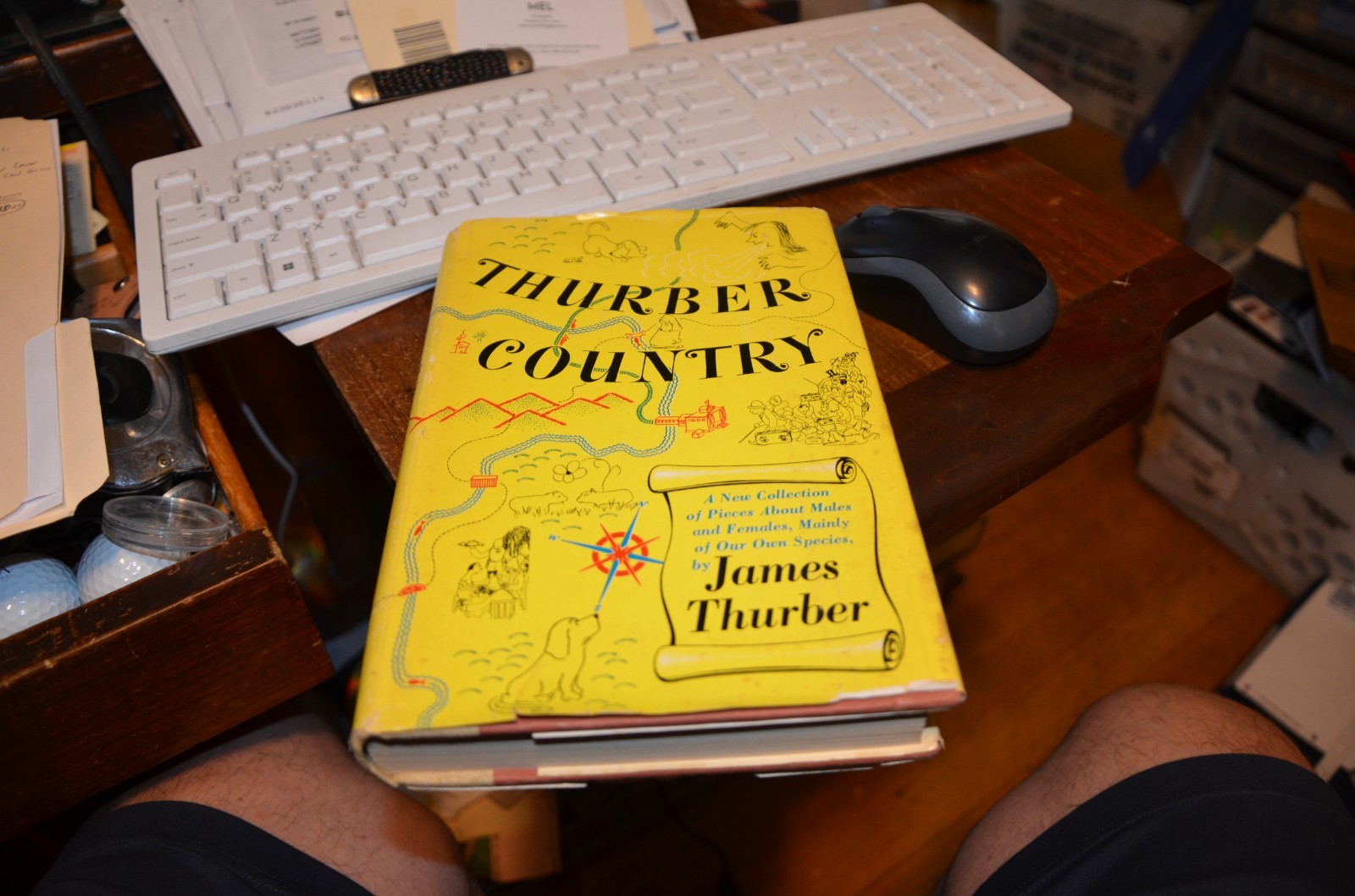 Thurber Country by James Thurber HC Dust Jacket 1st Ed First Print 1953