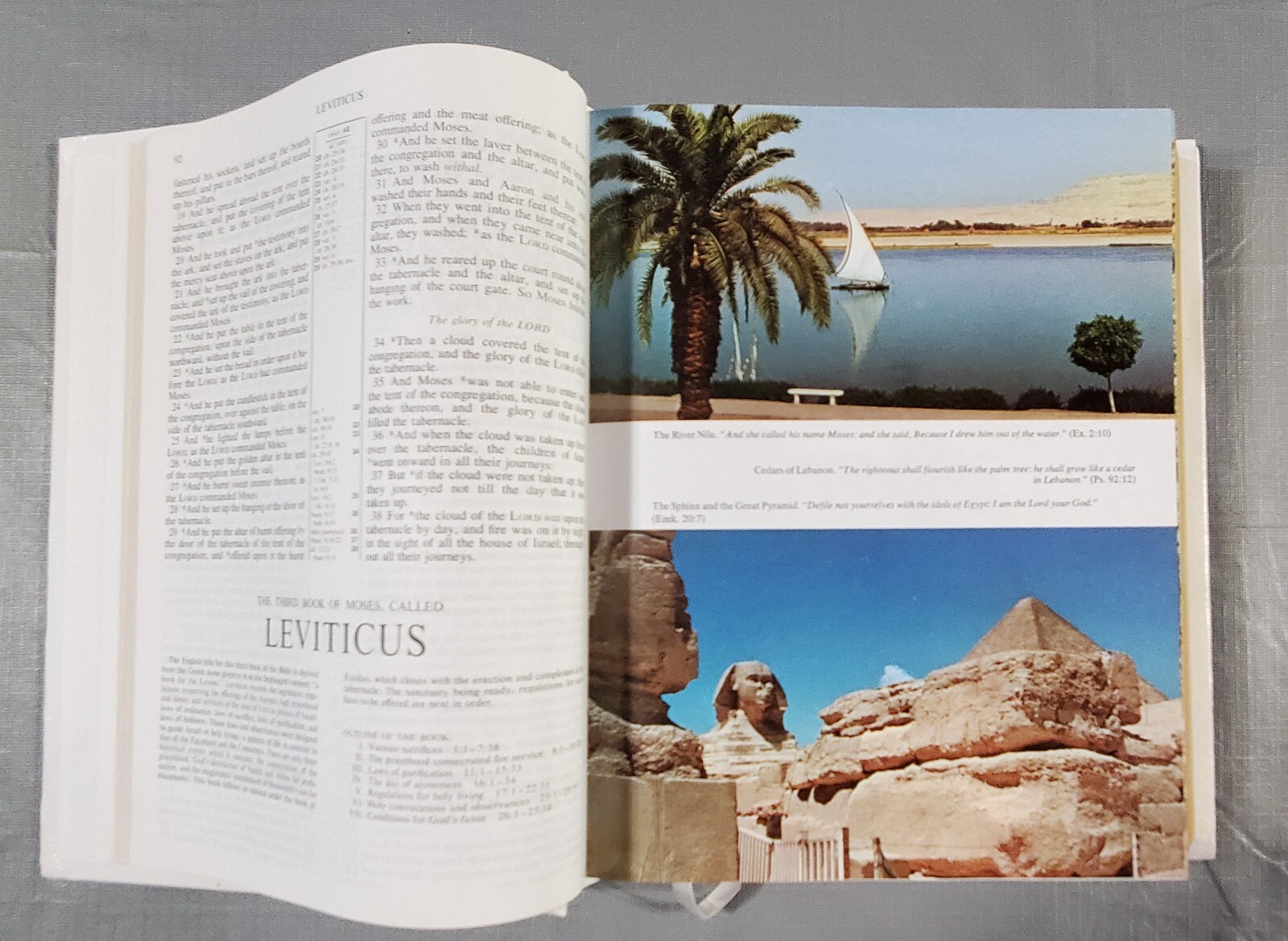 Holy Bible, King James Family, Red Letter Edition r