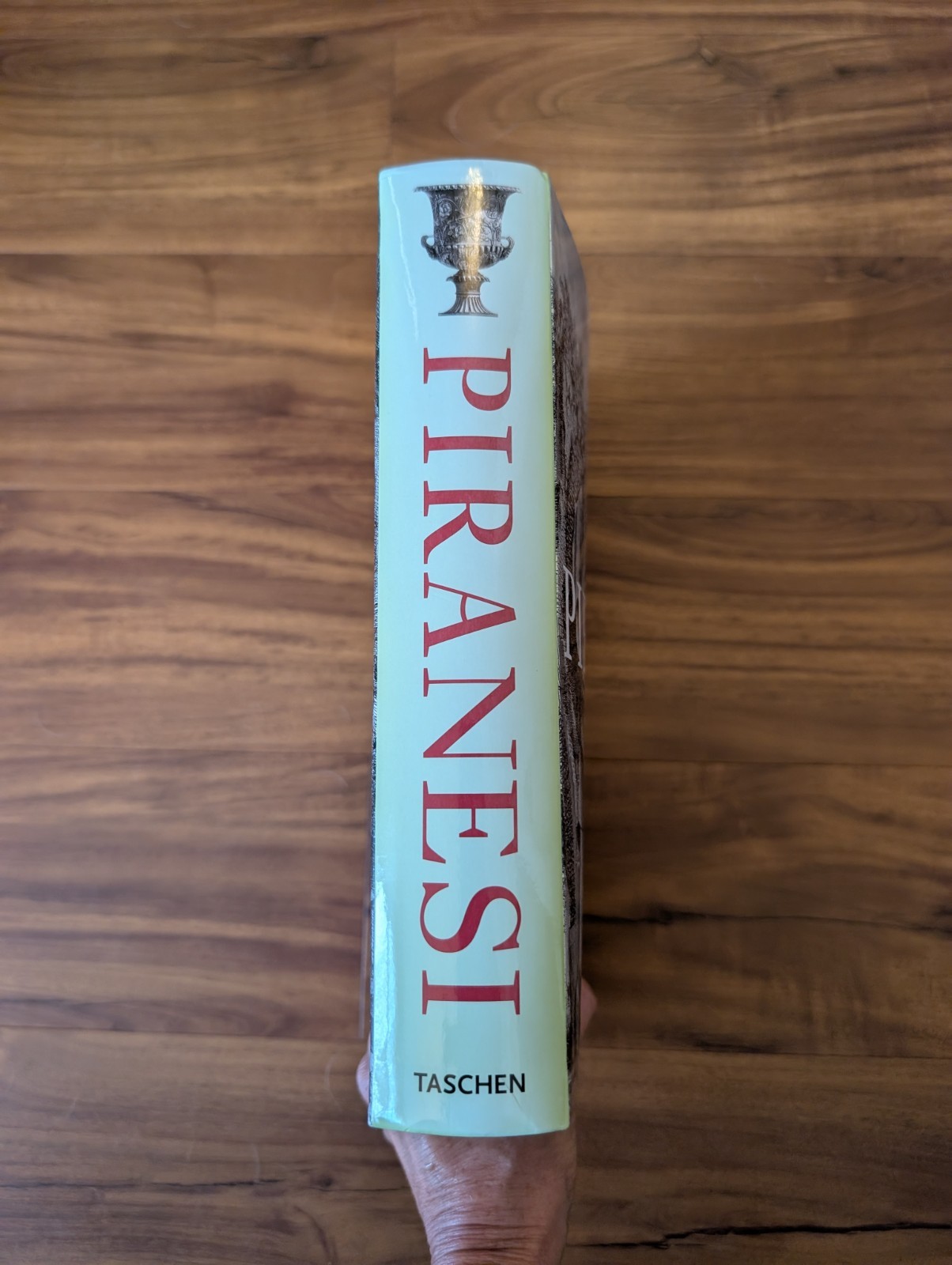 Giovanni Batista Piranesi : The Complete Etchings by Luigi Ficacci