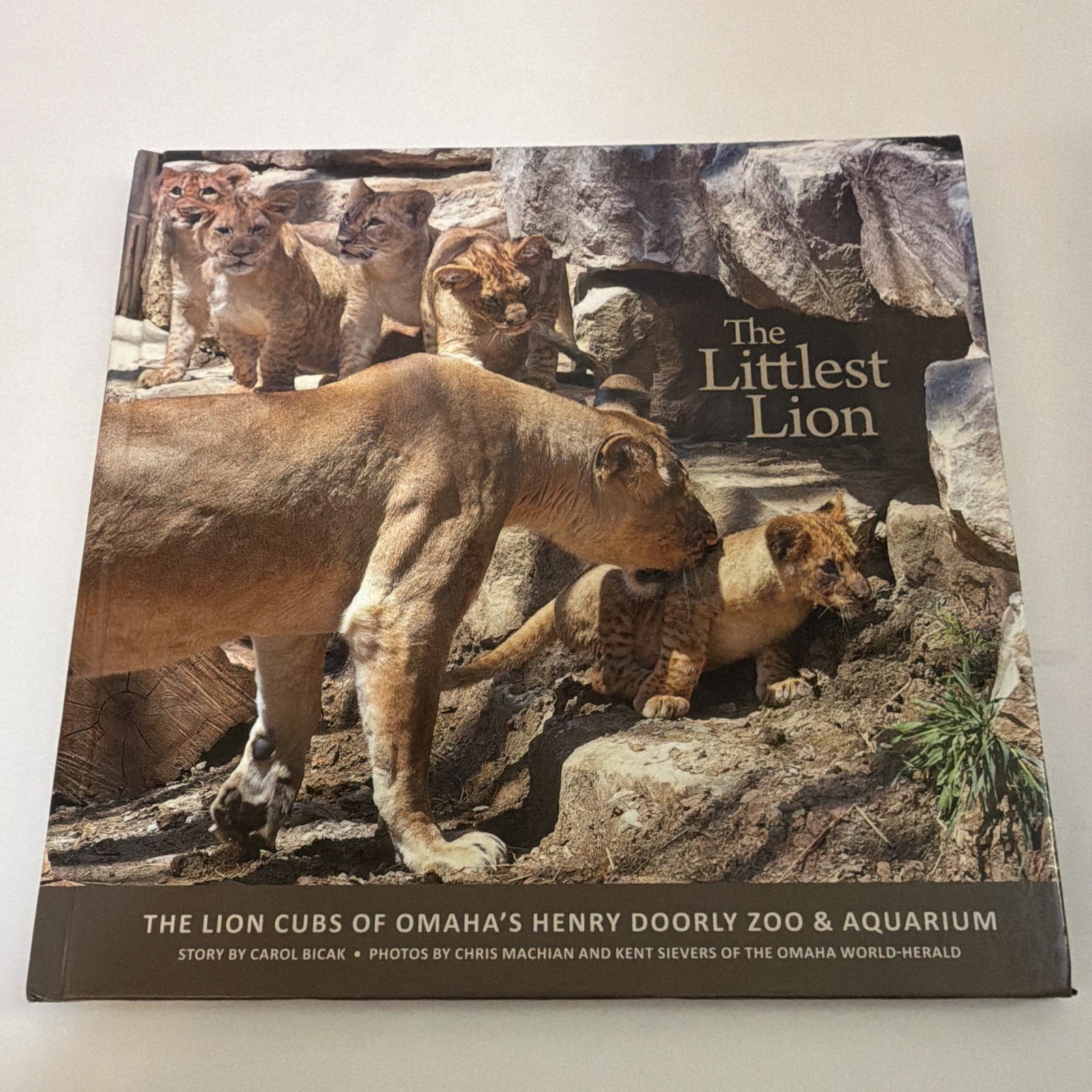 Omaha World-Herald The Littlest Lion Lion Cubs of Henry Doorly Zoo HC 2013 Illus