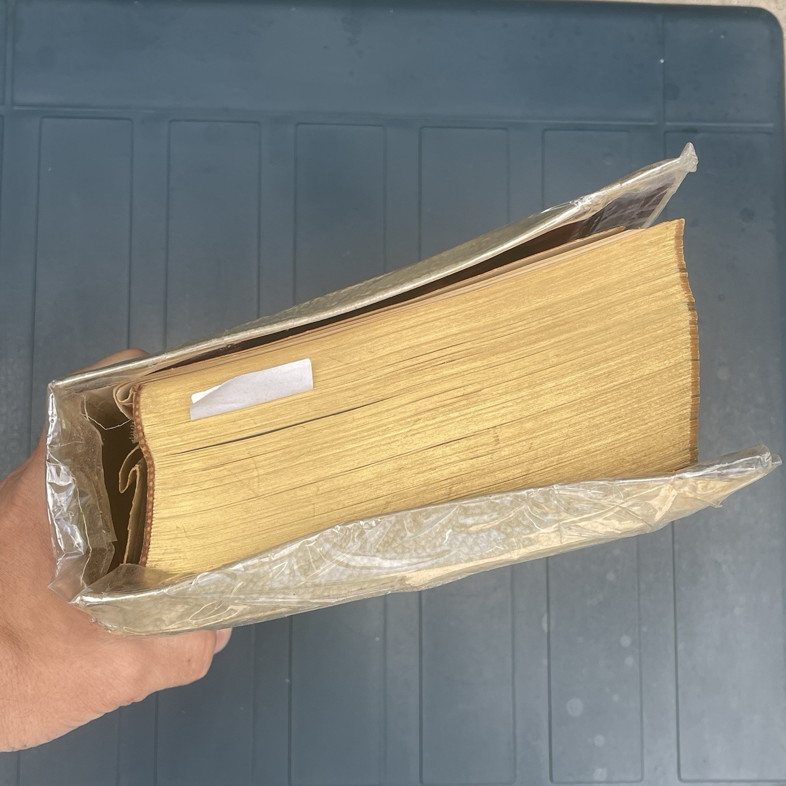 Vintage Holy Bible The Holy Angels Edition The Catholic Press 1963 White Large