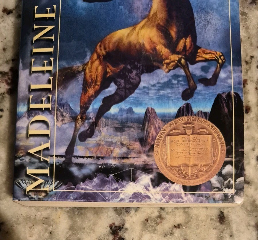 A Wrinkle in Time Paperback by Madeleine L ‘Engle
