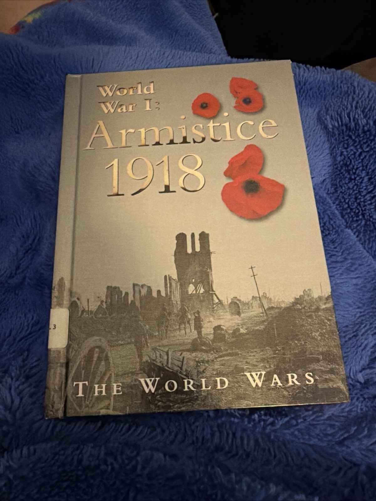 World War I : Armistice 1918 Hardcover Reg Grant. Library Binding.