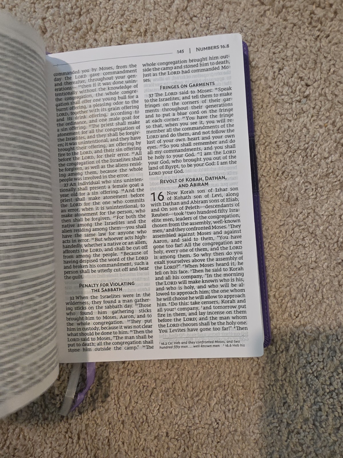 NRSV HOLY BIBLE
