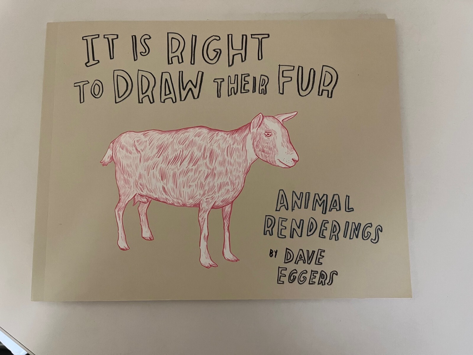 It Is Right to Draw Their Fur: Animal Renderings, Dave Eggers (McSweeney’s 2010)