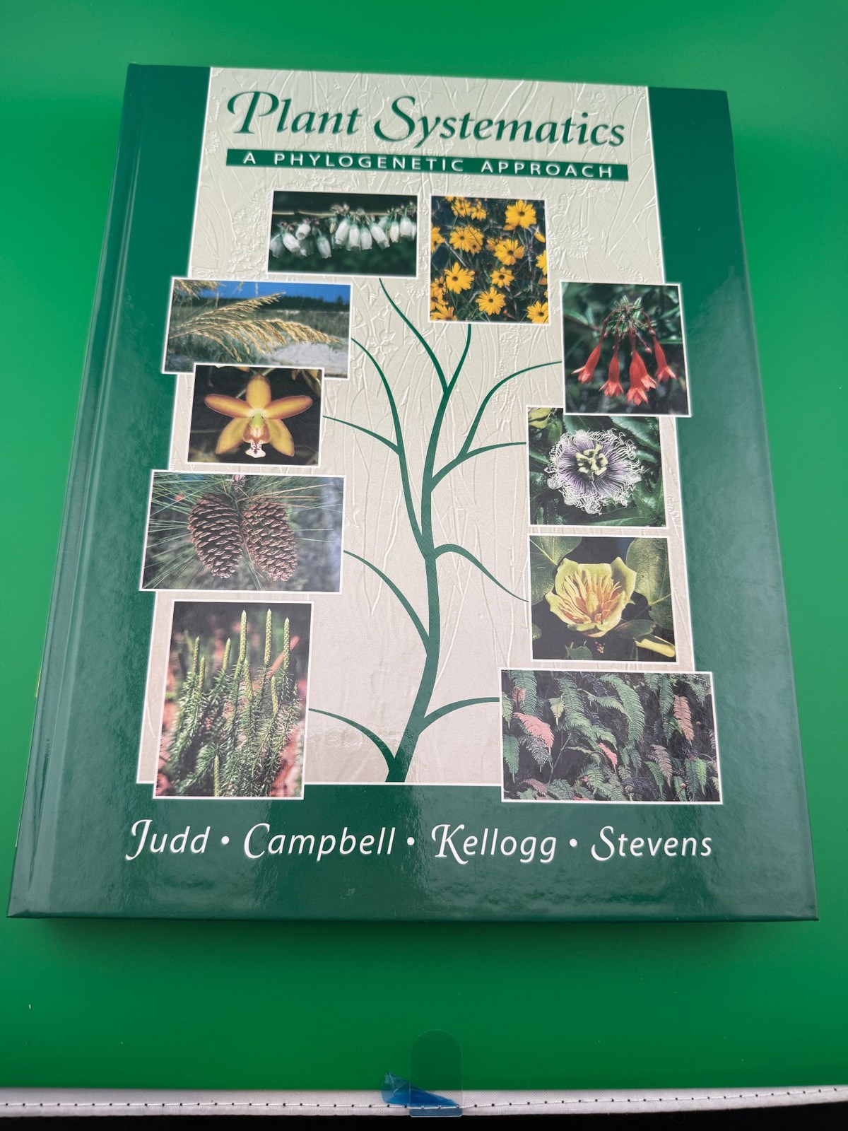 Plant Systematics A Phylogenetic Approach Hardcover Judd Campbell Kellogg CD-ROM