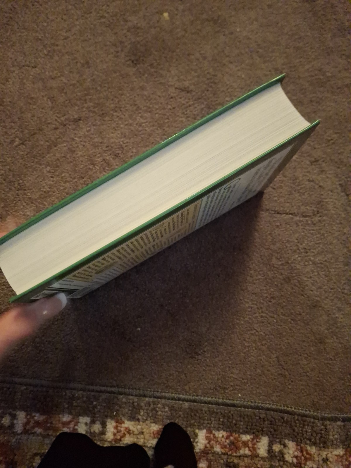 Garden Primer by Barbara Damrosch (Hardcover)